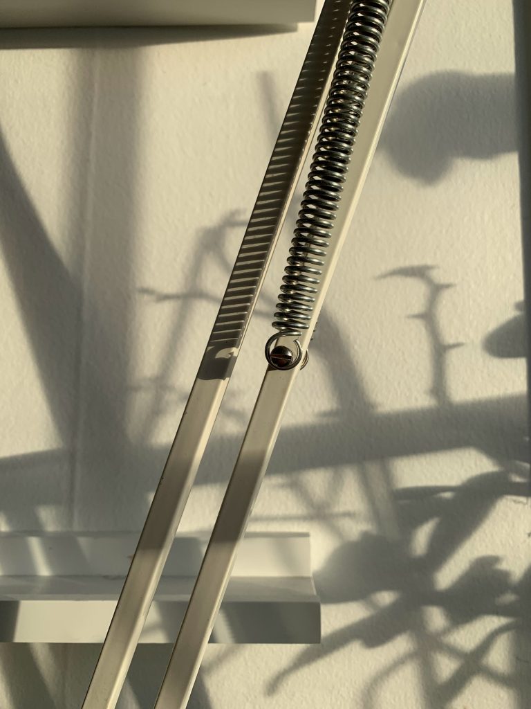 Torsion Spring